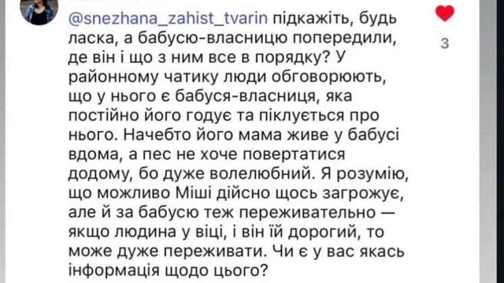 Резонанс довкола собаки Міші з київського метро: як розгорнулася історія